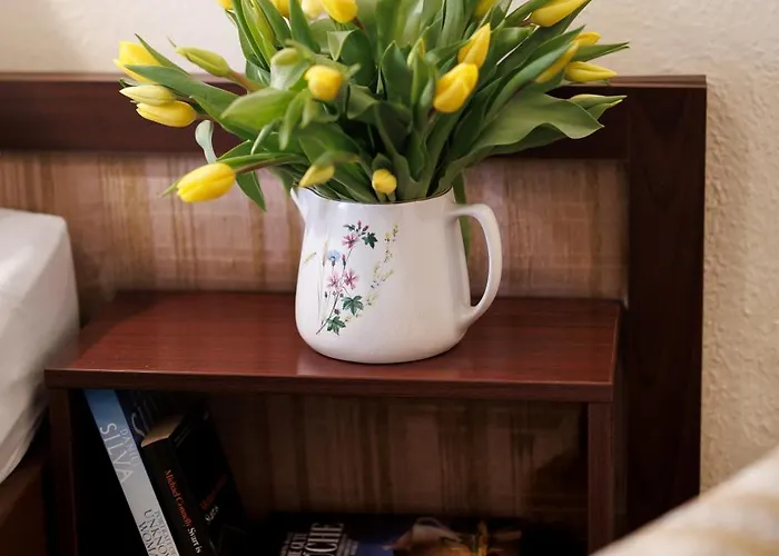 Continental Hotel-pension Nocleg ze śniadaniem Wiedeń